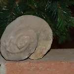 La Orospeda *